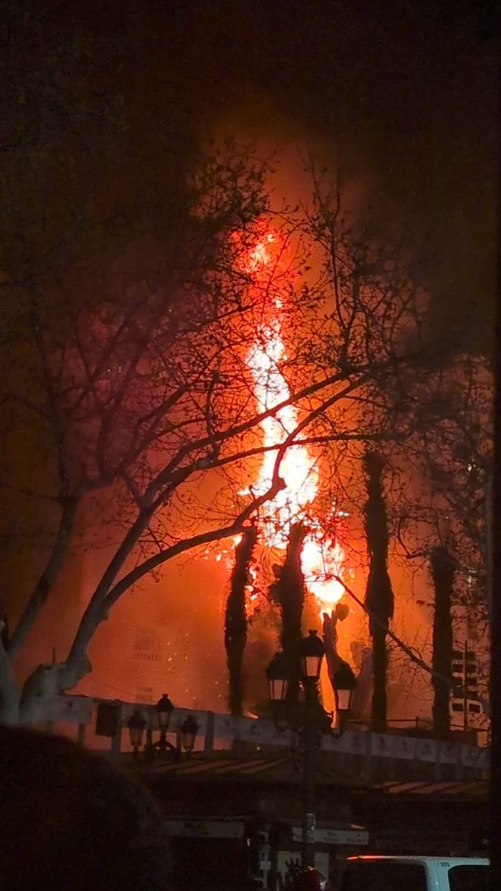 photo_1_2026-03-20_22-20-04